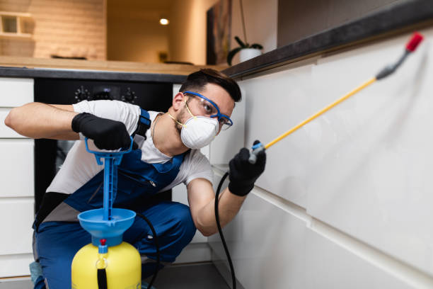 Best Emergency Pest Control  in Princeton Junction, NJ