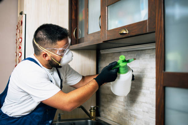 Best Wildlife Control Services  in Princeton Junction, NJ