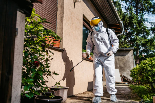Best Termite Control Services  in Princeton Junction, NJ