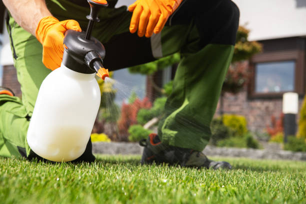 Best Best Pest Control Companies  in Princeton Junction, NJ
