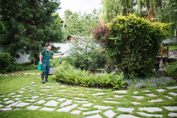 Best Pest Control Near Me  in Princeton Junction, NJ