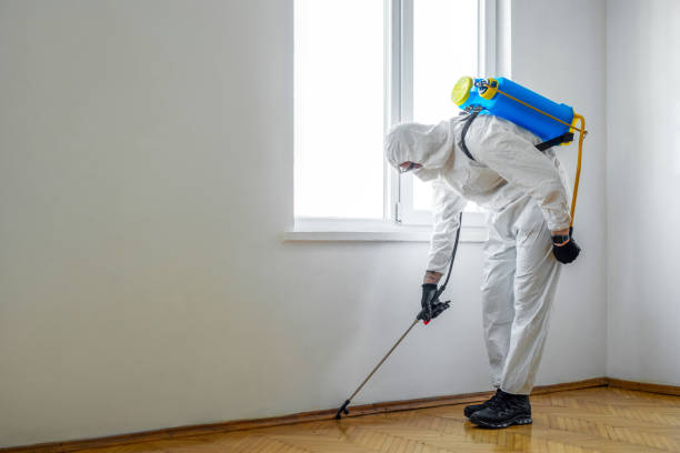 Best Exterminator Services  in Princeton Junction, NJ