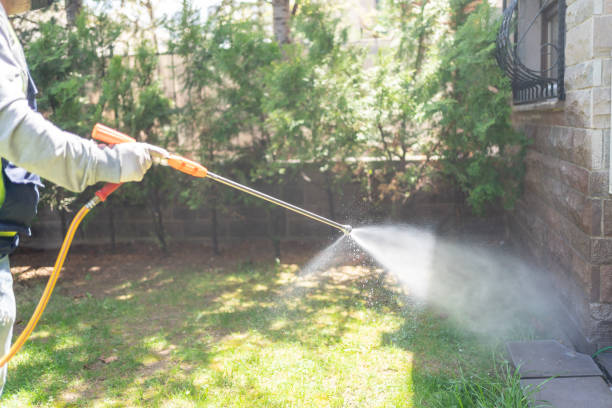 Best Pest Removal Services  in Princeton Junction, NJ
