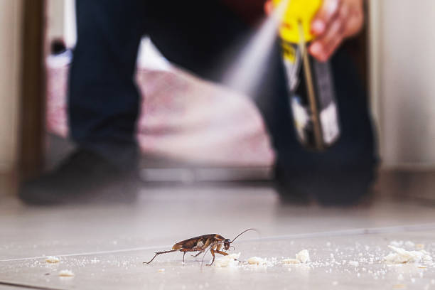 Princeton Junction, NJ Pest Control Company